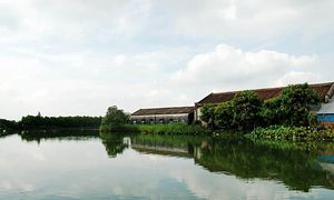 中山廣豐村水鄉游天氣