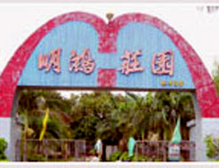 潮州明鴻莊園天氣