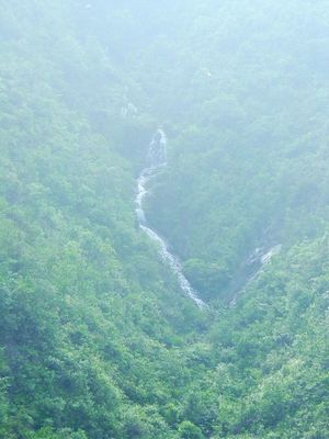 潮州叫水坑原始森林天氣