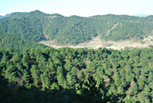 長治紫團山天氣