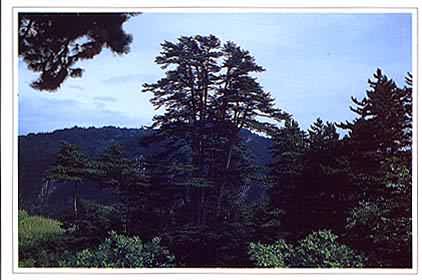 沁源靈空山天氣