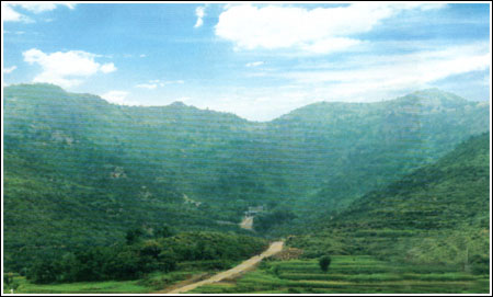 高平羊頭山炎帝文化旅游區天氣