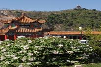 臨汾古縣三和牡丹景區天氣