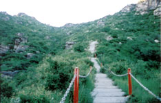呼和浩特呼市哈達(dá)門國家森林公園天氣