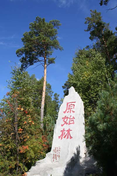 興安盟莫爾道嘎天氣