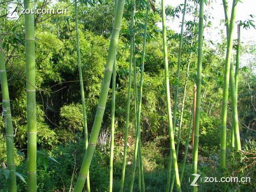 南寧鄉村大世界天氣