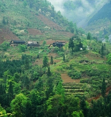 柳州九萬山天氣