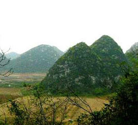 柳州大橋農業旅游區天氣