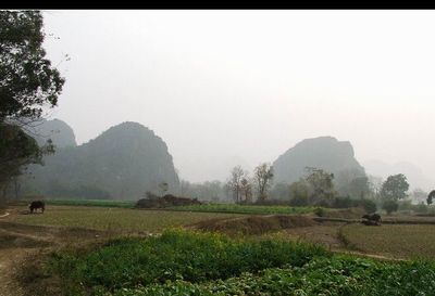 桂林父子巖天氣