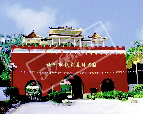 梧州龍泉森林公園天氣