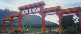 梧州天國四王故里天氣