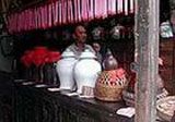 梧州戎圩古鎮天氣