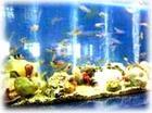 北海水族館天氣