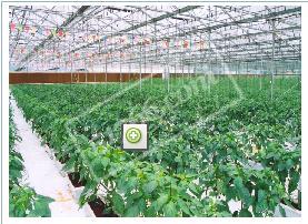 百色國家農業科技園區天氣