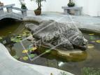 河池長壽博物館天氣
