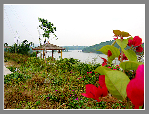 欽州鄧陽(yáng)湖旅游區(qū)天氣