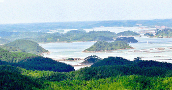 欽州龍門群島天氣