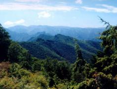 崇左西大明山天氣