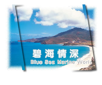 三亞碧海情深海洋世界天氣