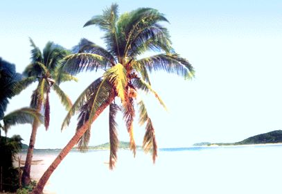 三亞熱帶海濱天氣