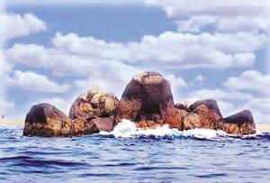 瓊海圣公石天氣