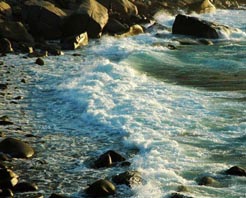 萬寧大花角天氣