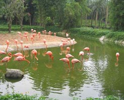 萬寧興隆熱帶海洋動物園天氣