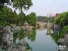 海南金江新加坡花園天氣