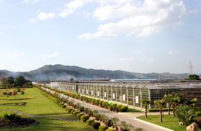 南寧市八桂田園景區(qū)天氣