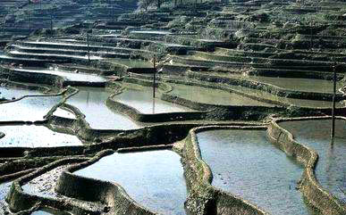 紅河元陽(yáng)梯田天氣