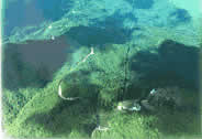 思茅萊陽河天氣