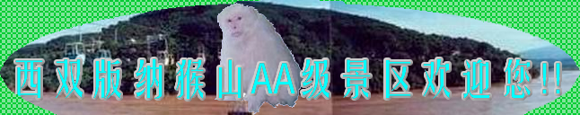 西雙版納猴山天氣