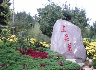 大理上關花公園天氣