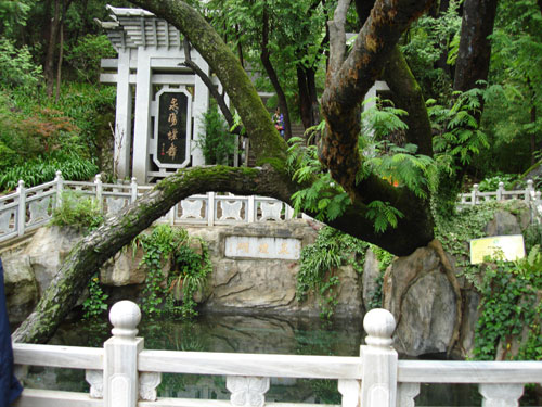 大理蝴蝶泉公園天氣