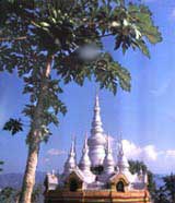 德宏民族風(fēng)情瀏覽區(qū)天氣