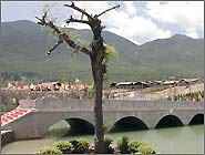 麗江東巴王國天氣