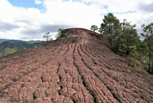 麗江老君山天氣