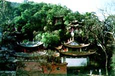 麗江靈源箐天氣