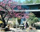 麗江玉峰寺天氣