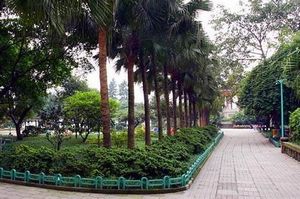 重慶枇杷山公園天氣