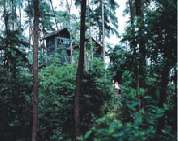 重慶歌樂(lè)山天氣