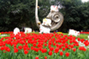 重慶花卉園天氣