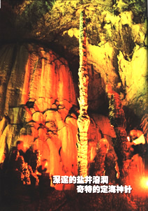 萬州鹽井龍洞天氣