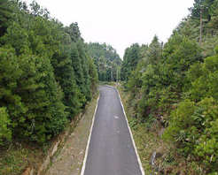 萬州大埡口森林公園天氣