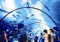 武漢東湖海洋世界天氣