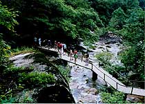 江夏青龍山森林公園天氣