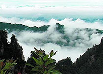 武昌天堂寨風景區天氣