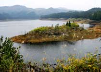 利川福寶山天氣