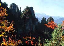 五峰柴埠溪國家森林公園天氣
