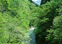 宜都宋山森林公園天氣